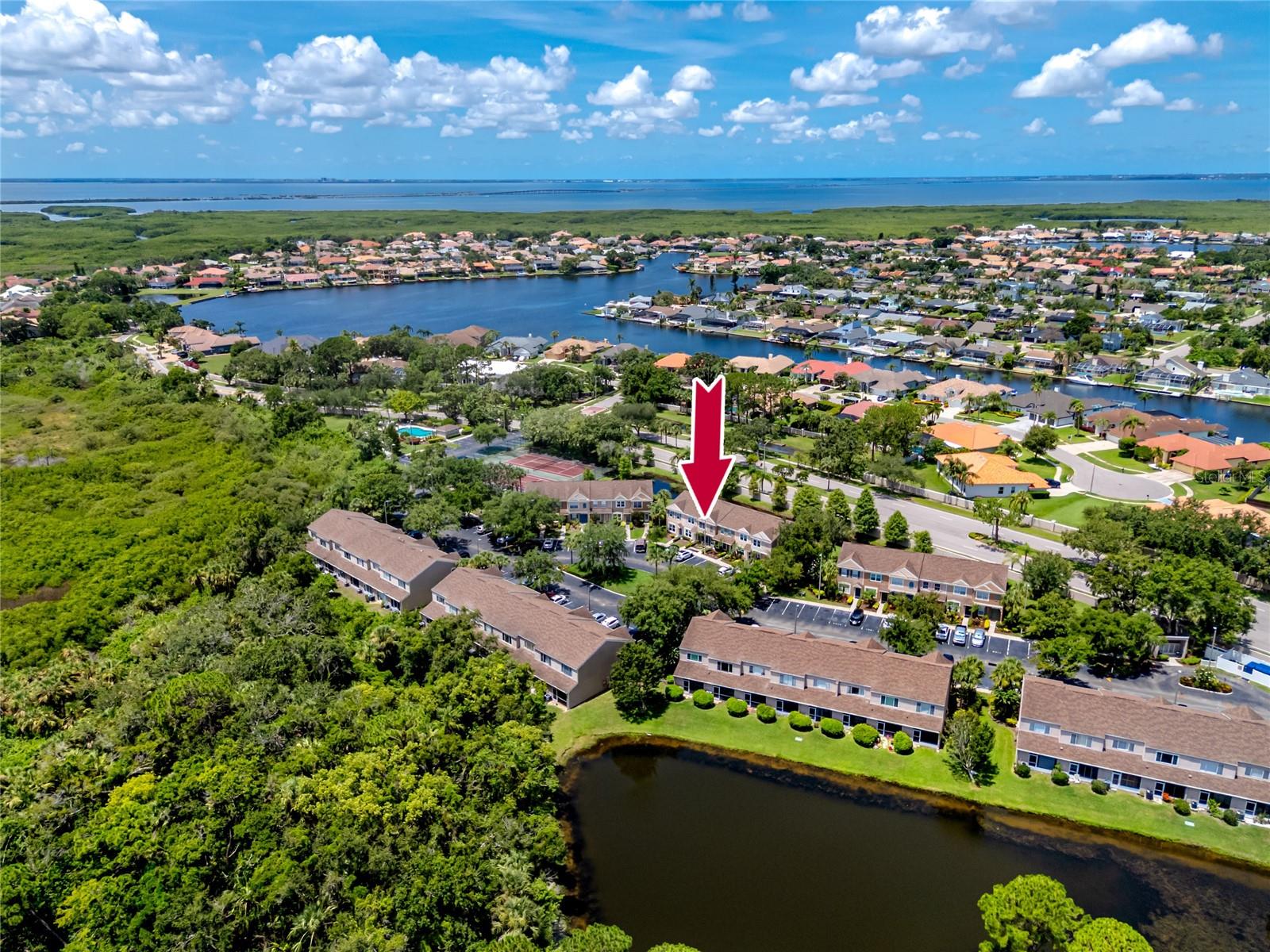 Aerial-5936 Bayside Key Dr, Tampa, FL 33615