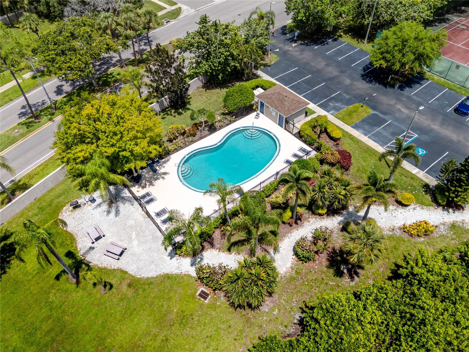 Pool-5936 Bayside Key Dr, Tampa, FL 33615