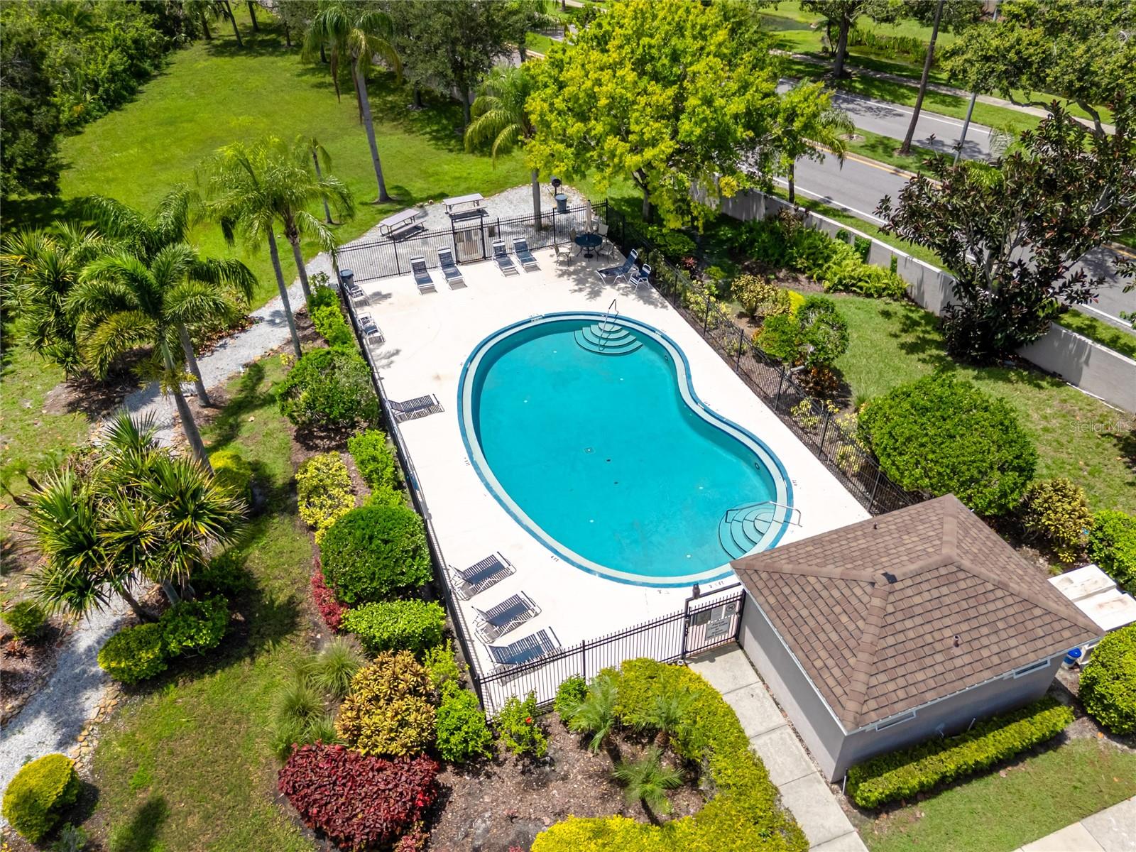 Pool-5936 Bayside Key Dr, Tampa, FL 33615