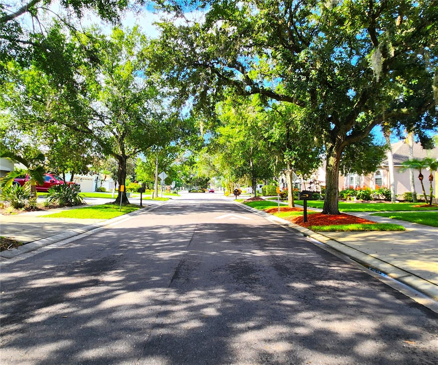 Arbor Hollow Drive