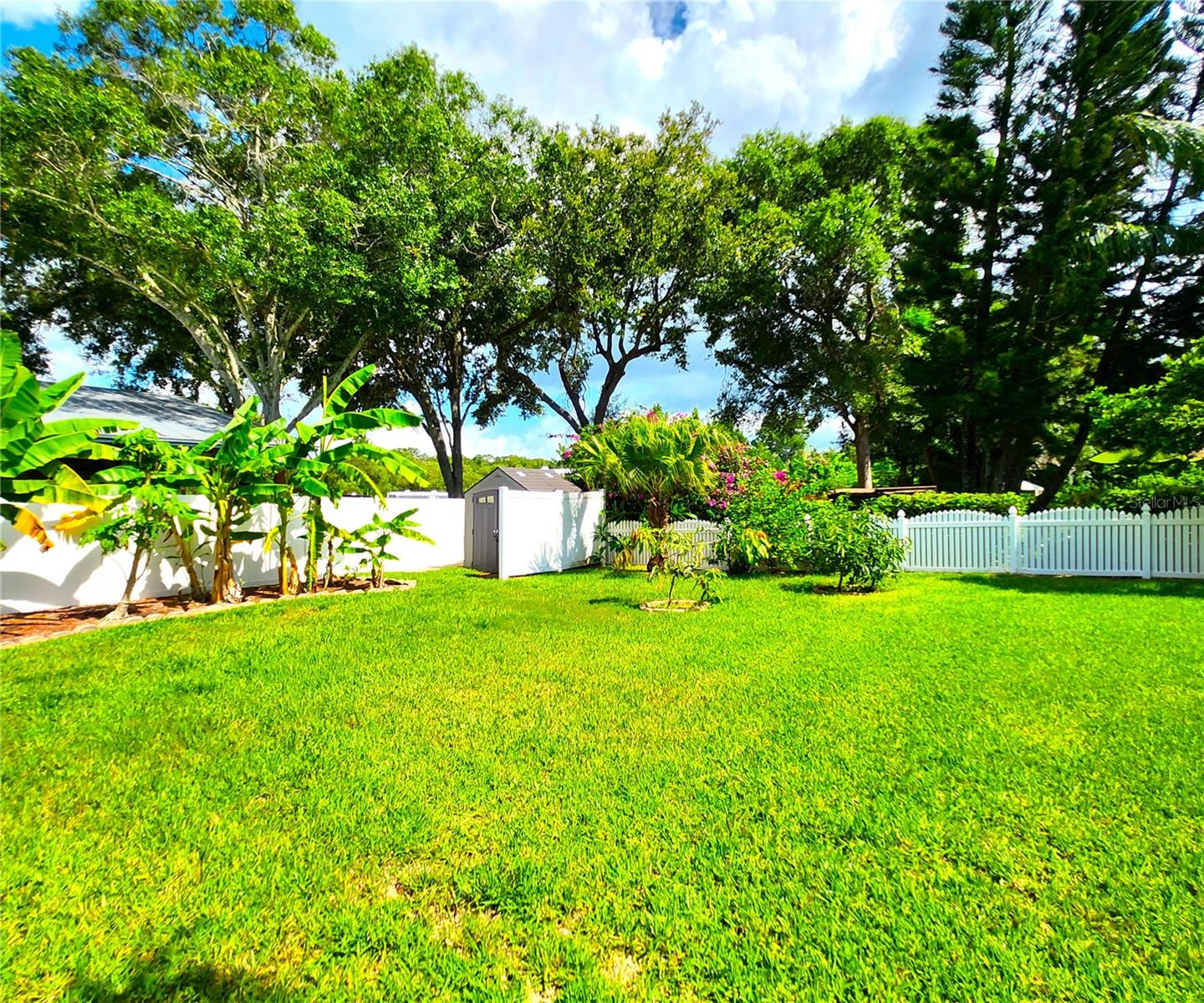 St. Augustine grass, irrigation front & back, fenced in, new mulch, manicured lawn