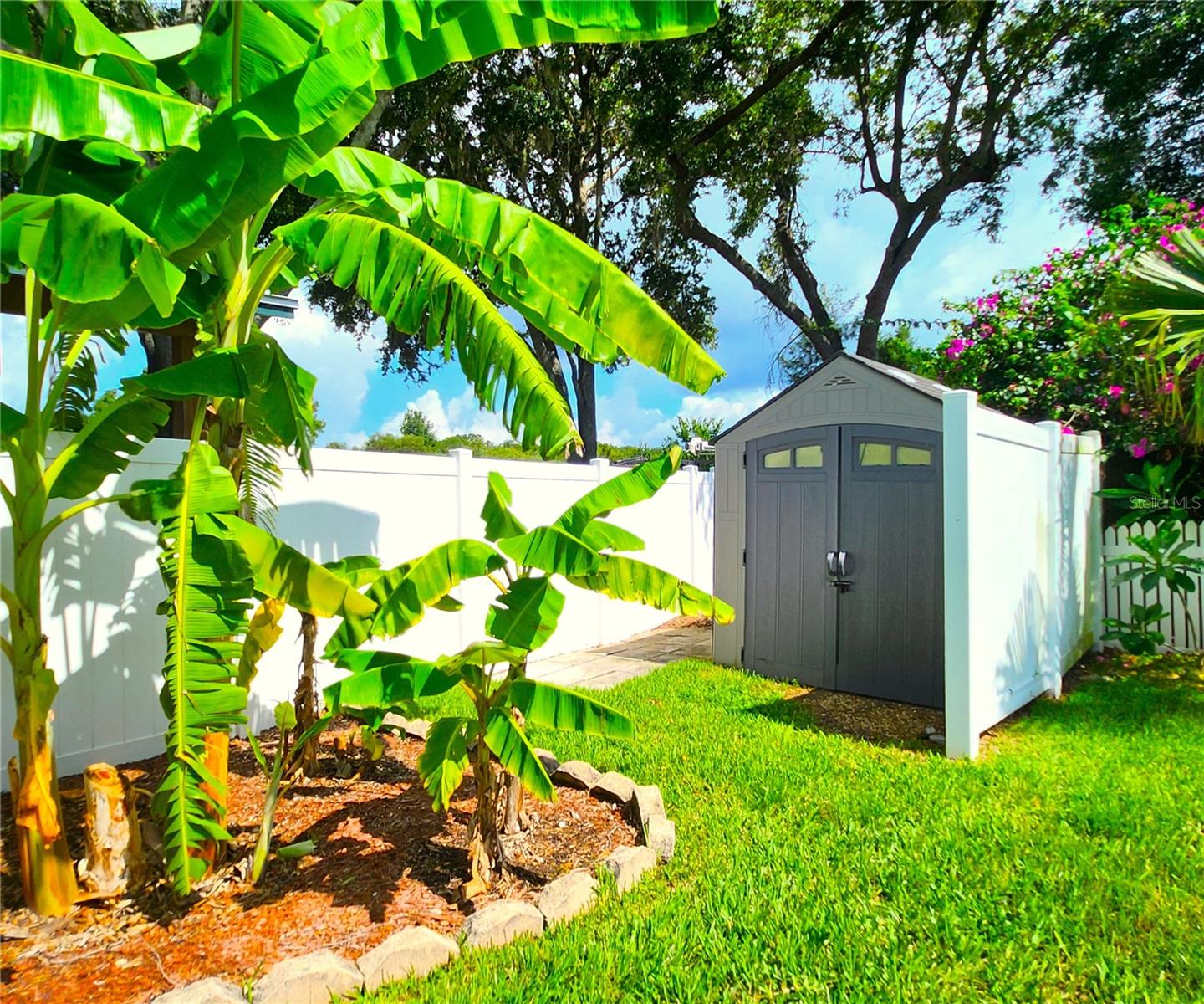 Shed