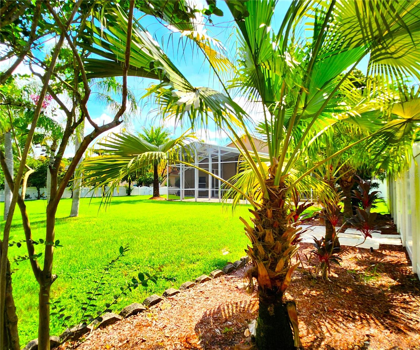 St. Augustine grass, irrigation front & back, fenced in, new mulch, manicured lawn
