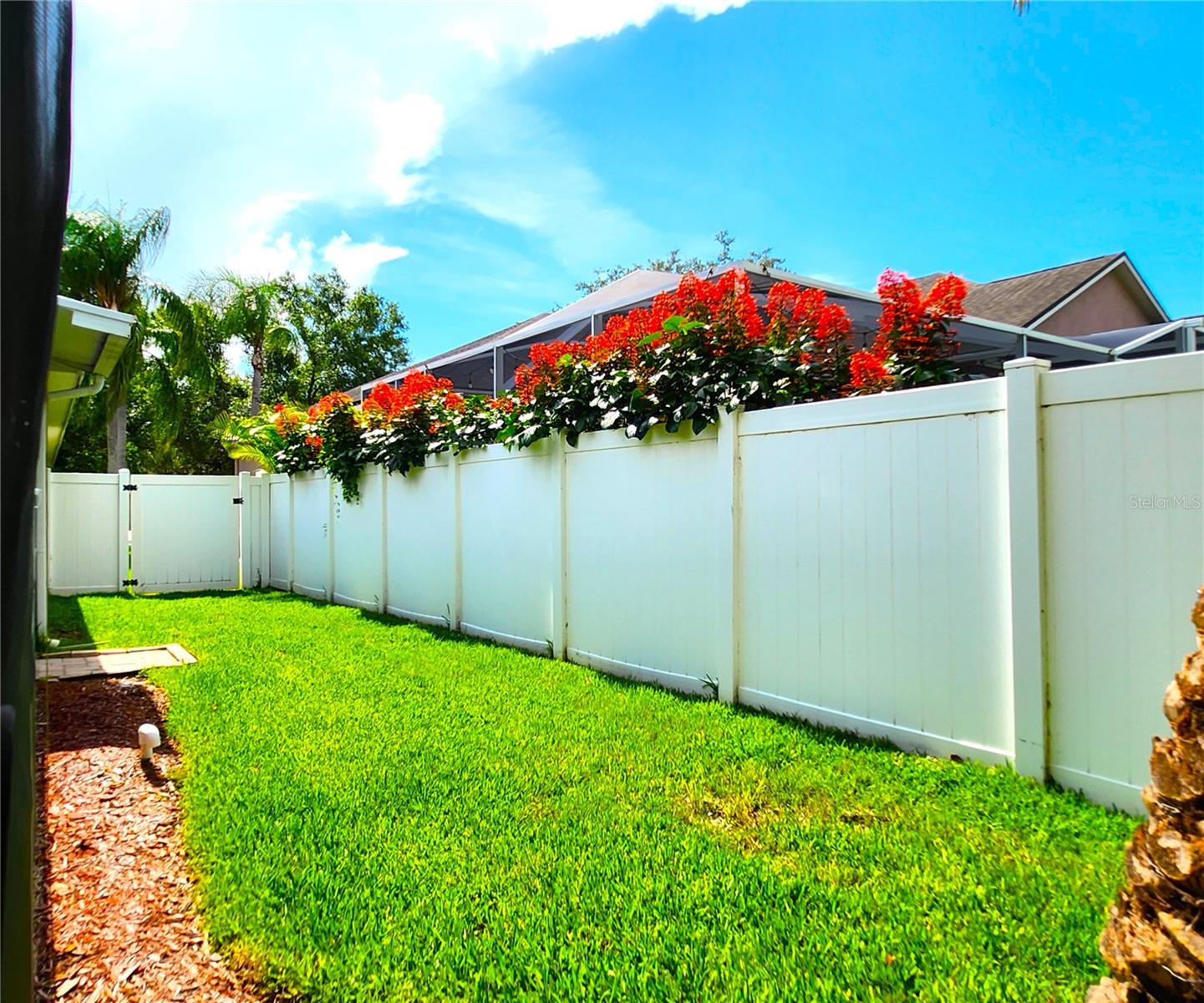 Side Entry 2 of 2, St. Augustine grass, irrigation front & back, fenced in, new mulch, manicured lawn
