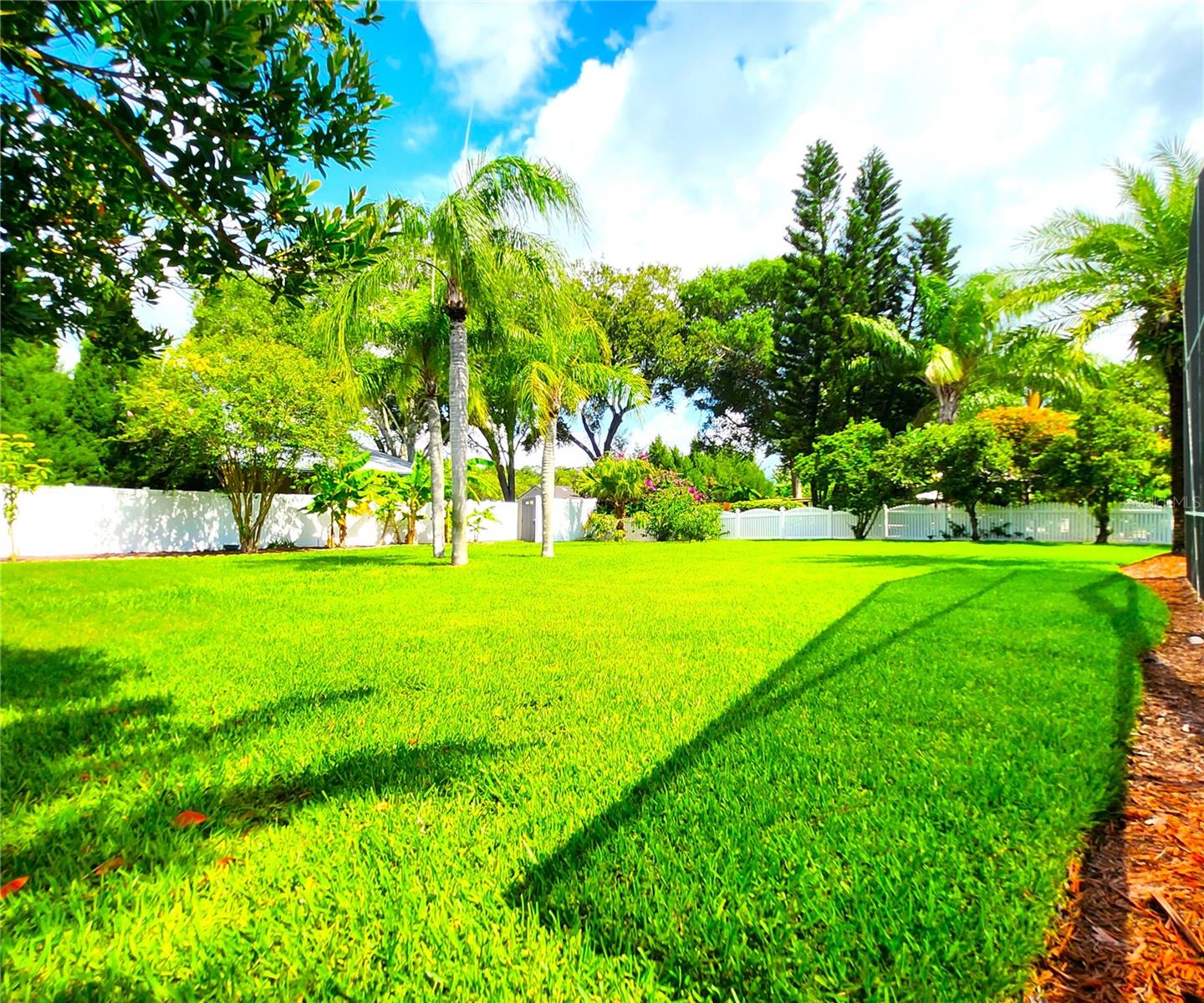 St. Augustine grass, irrigation front & back, fenced in, new mulch, manicured lawn
