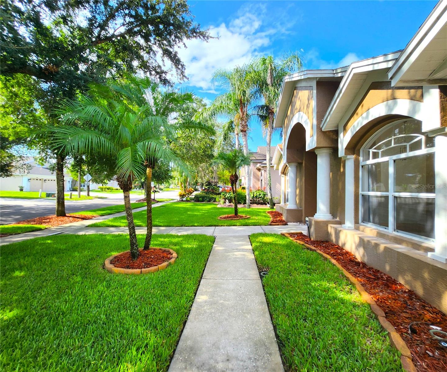 15008 Arbor Hollow Dr, Odessa, FL 33556: 2574SF, 4BR, 3BA, 3CG, POOL, SPA, RETURN OSMOSIS