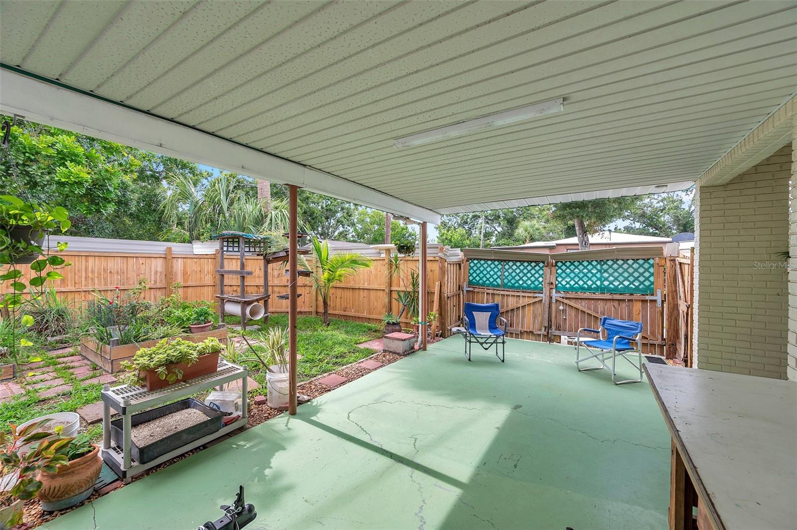 Back yard
