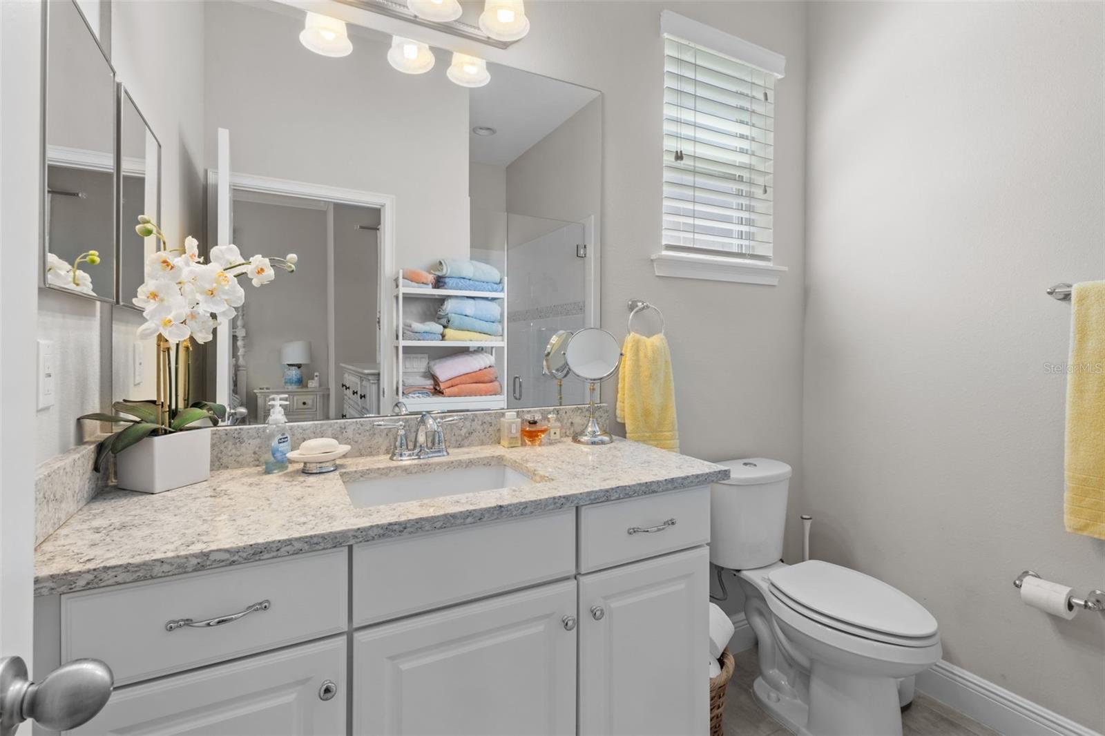 in-law suite bathroom