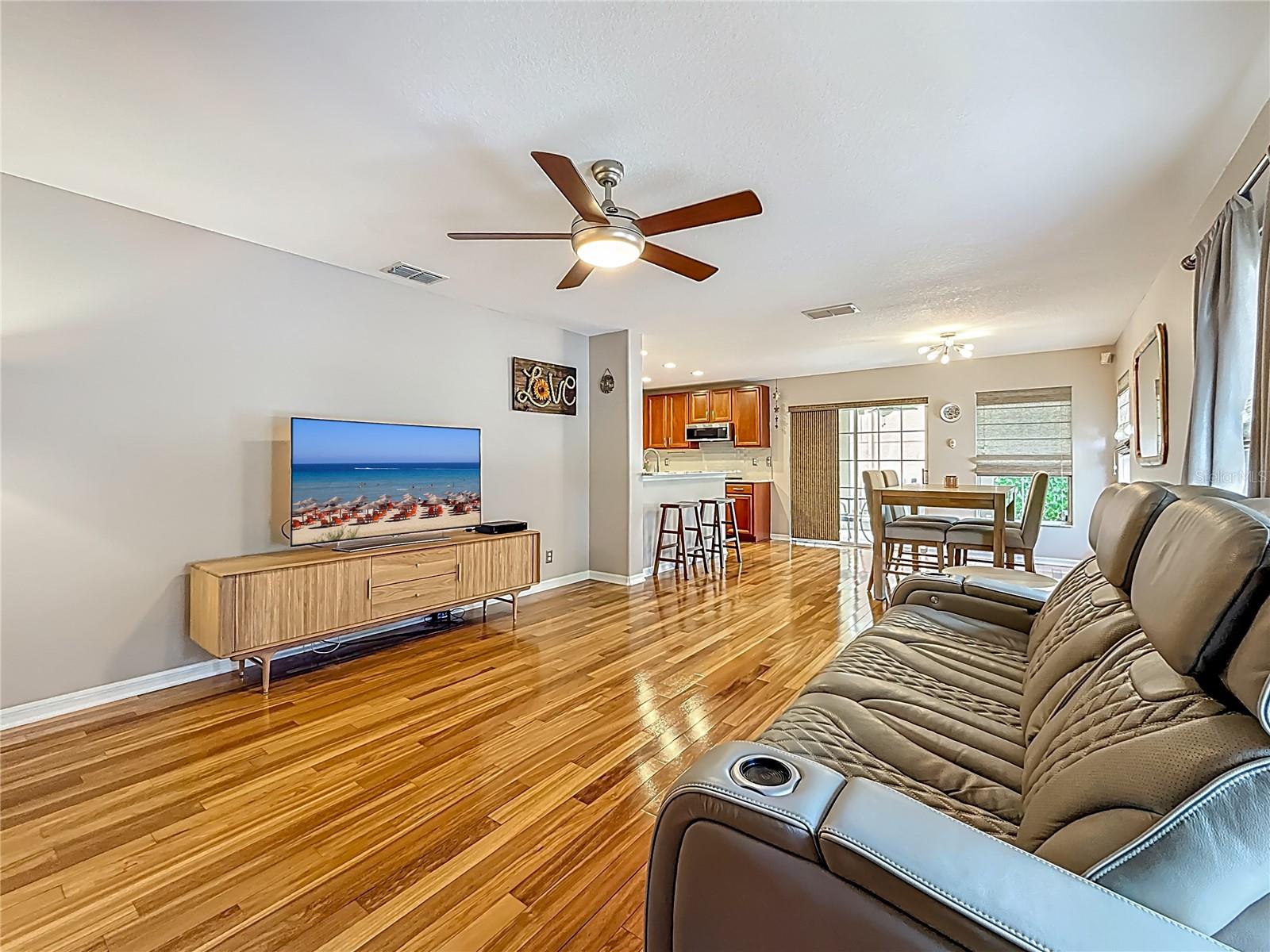 Living Room - Dining Room - Kitchen
