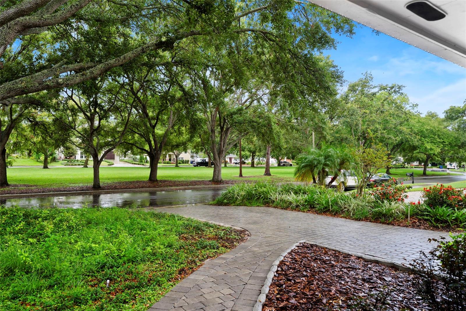 Your view of the Park from your front door!!