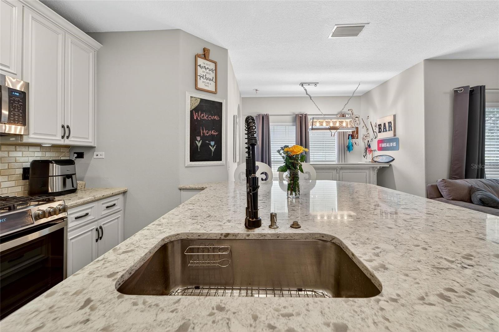 Farmhouse Sink