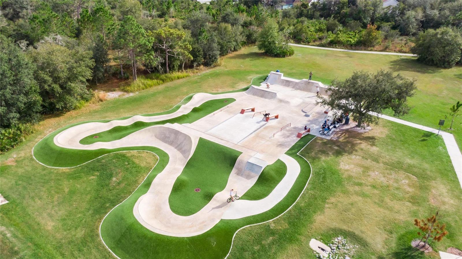 Fishhawk Skate Park