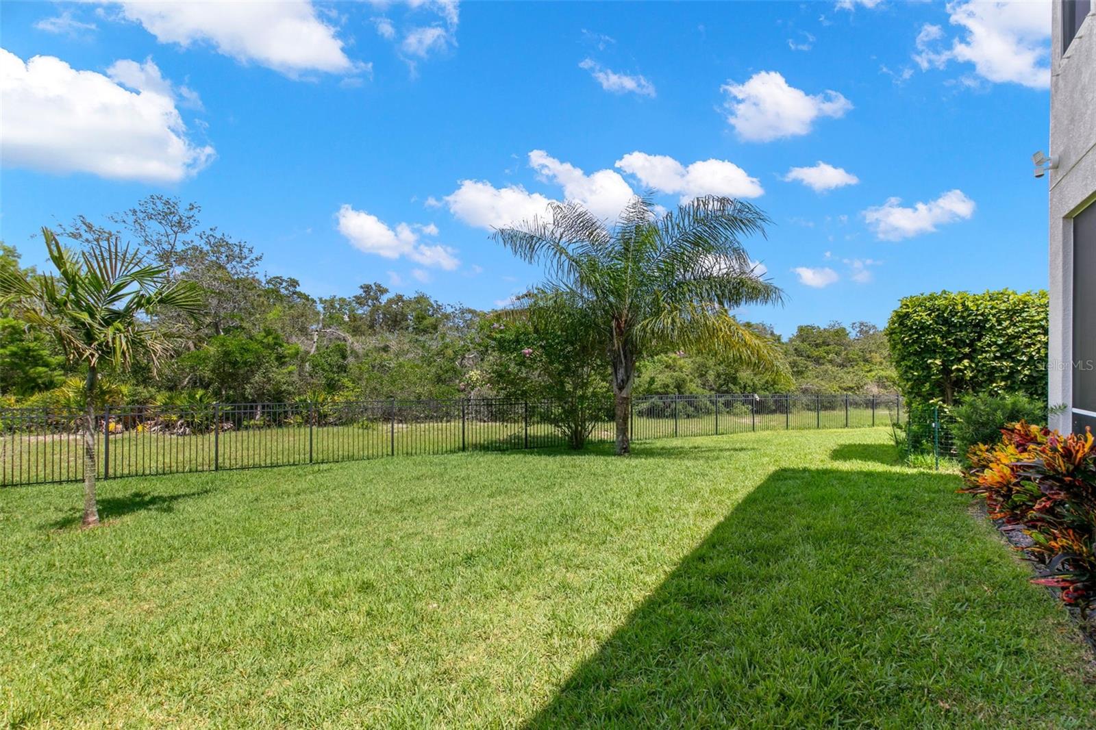 Large backyard