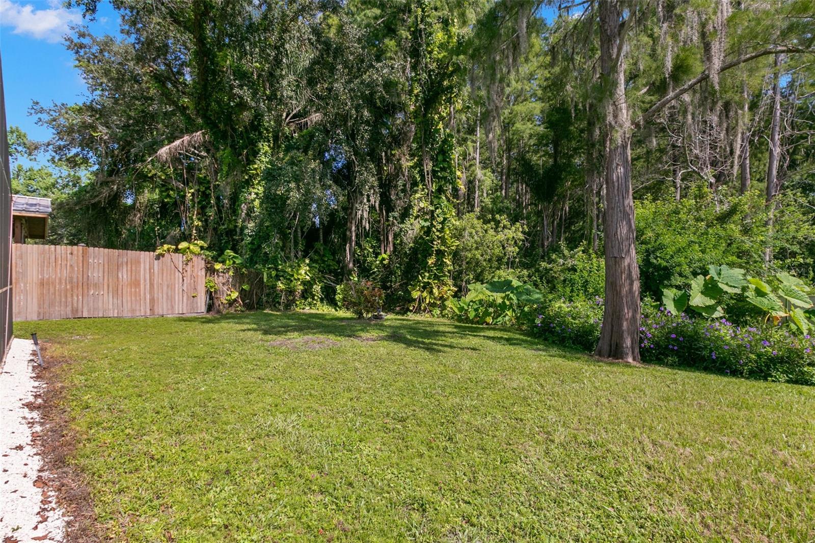 Backyard overlooking deeded Preserve