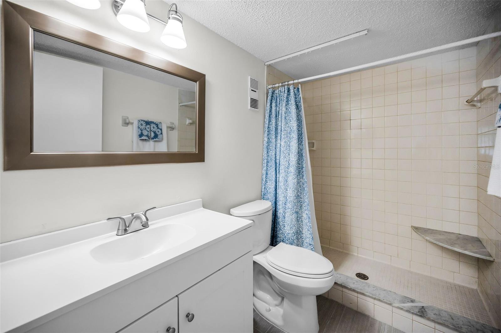 Primary suite walk in shower & new vanity