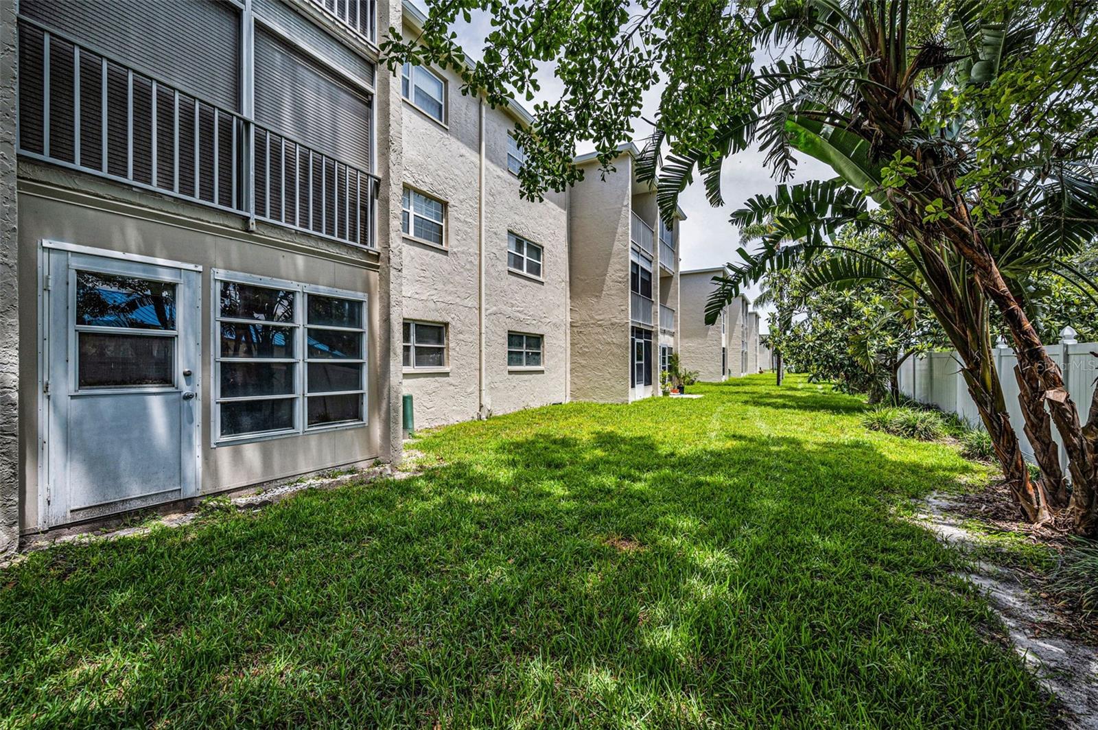 Your green and lush back yard