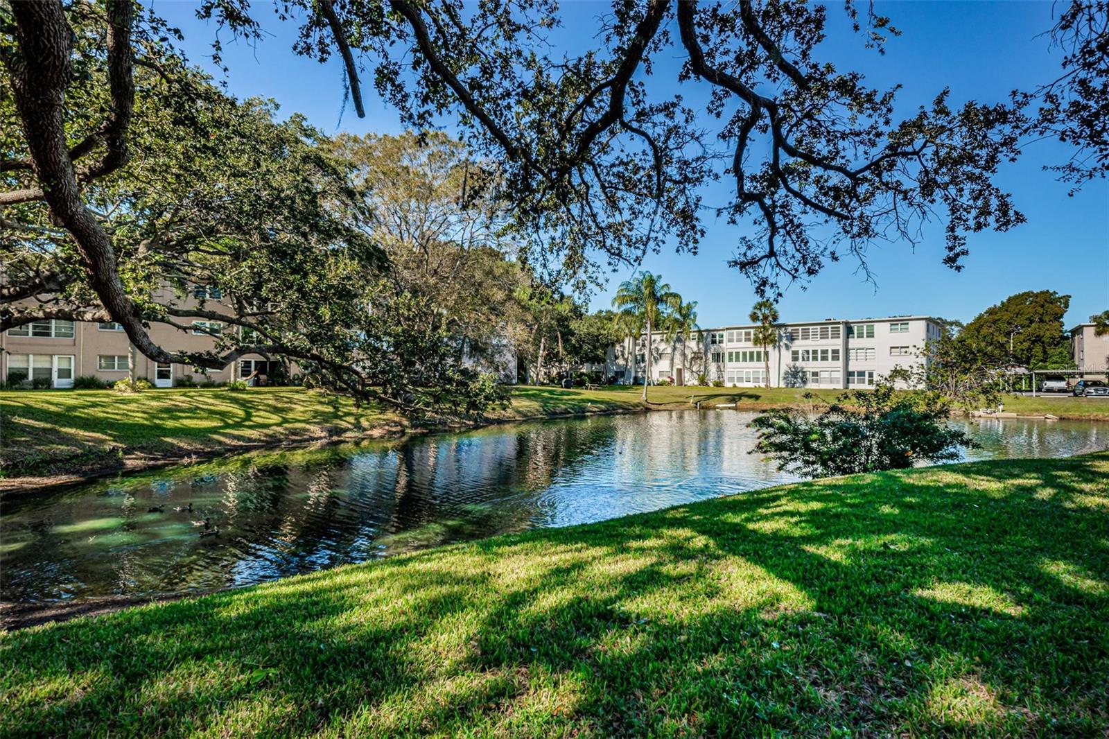 Relax at the clubhouse pond