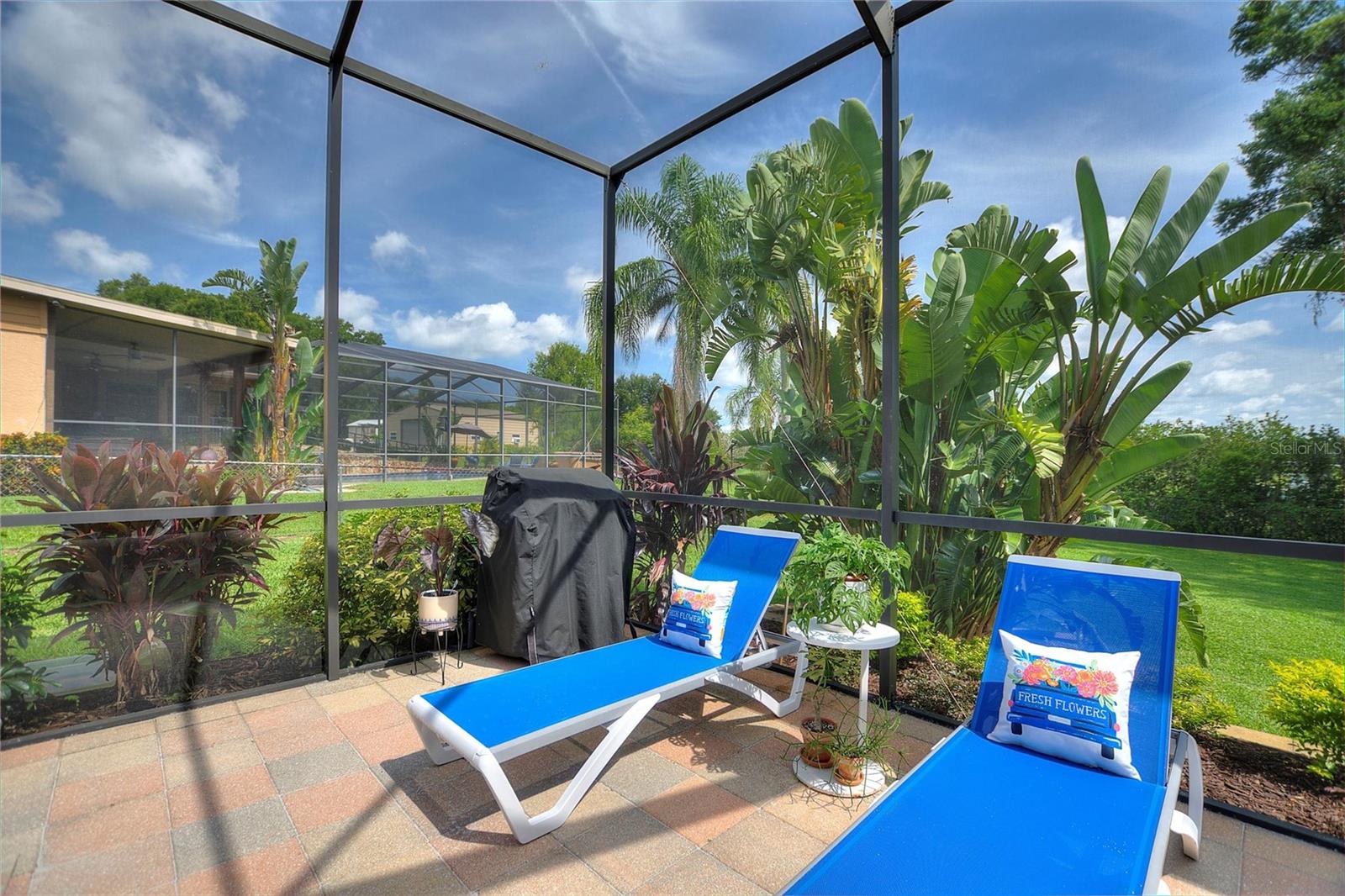 You will feel like you are on vacation while enjoying the pool!