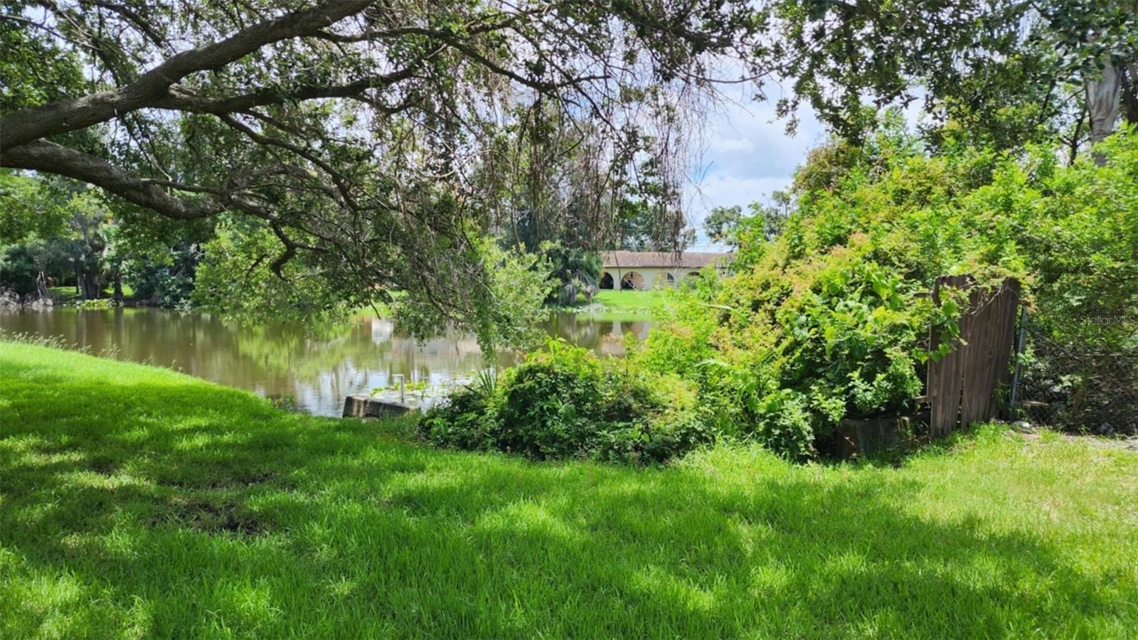Pond View