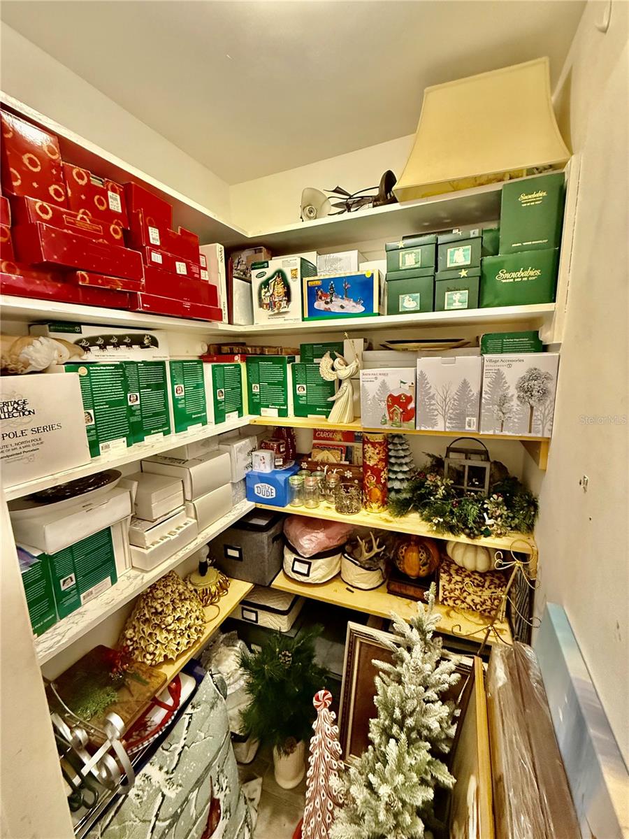 Bonus storage closet
