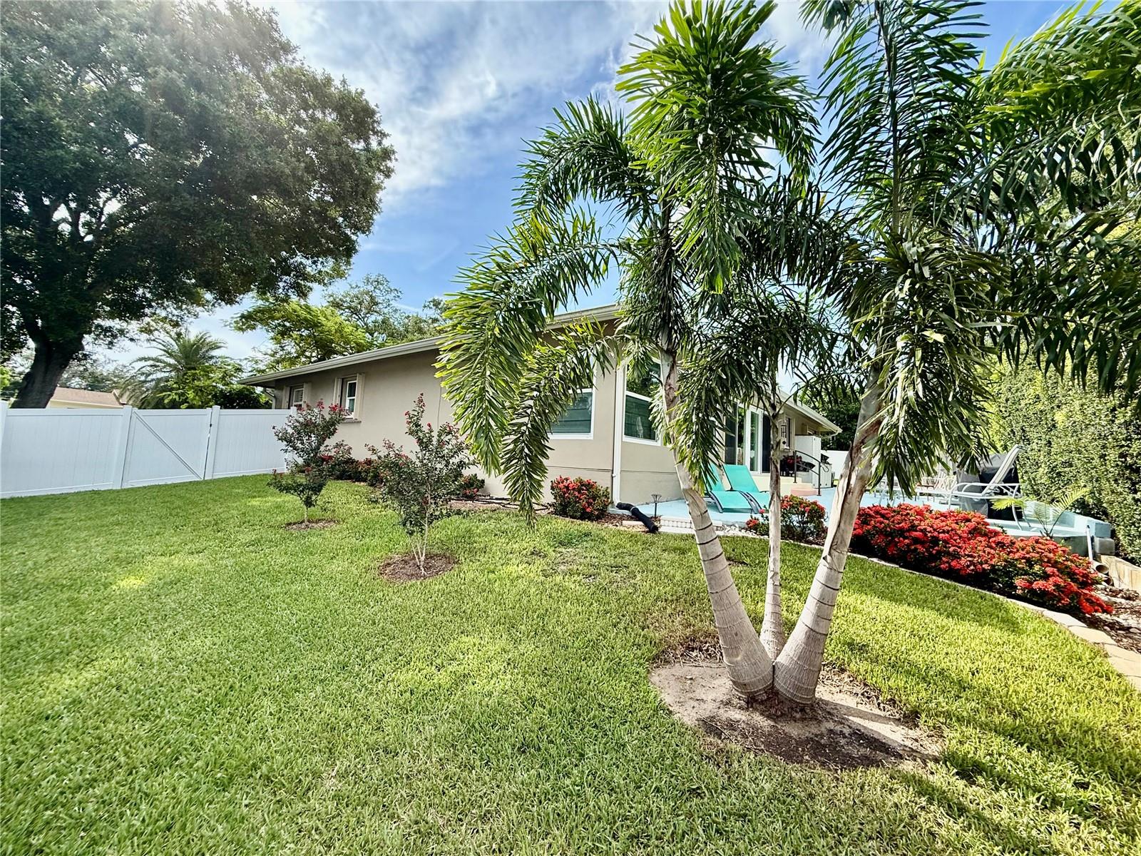Nicely landscaped side yard