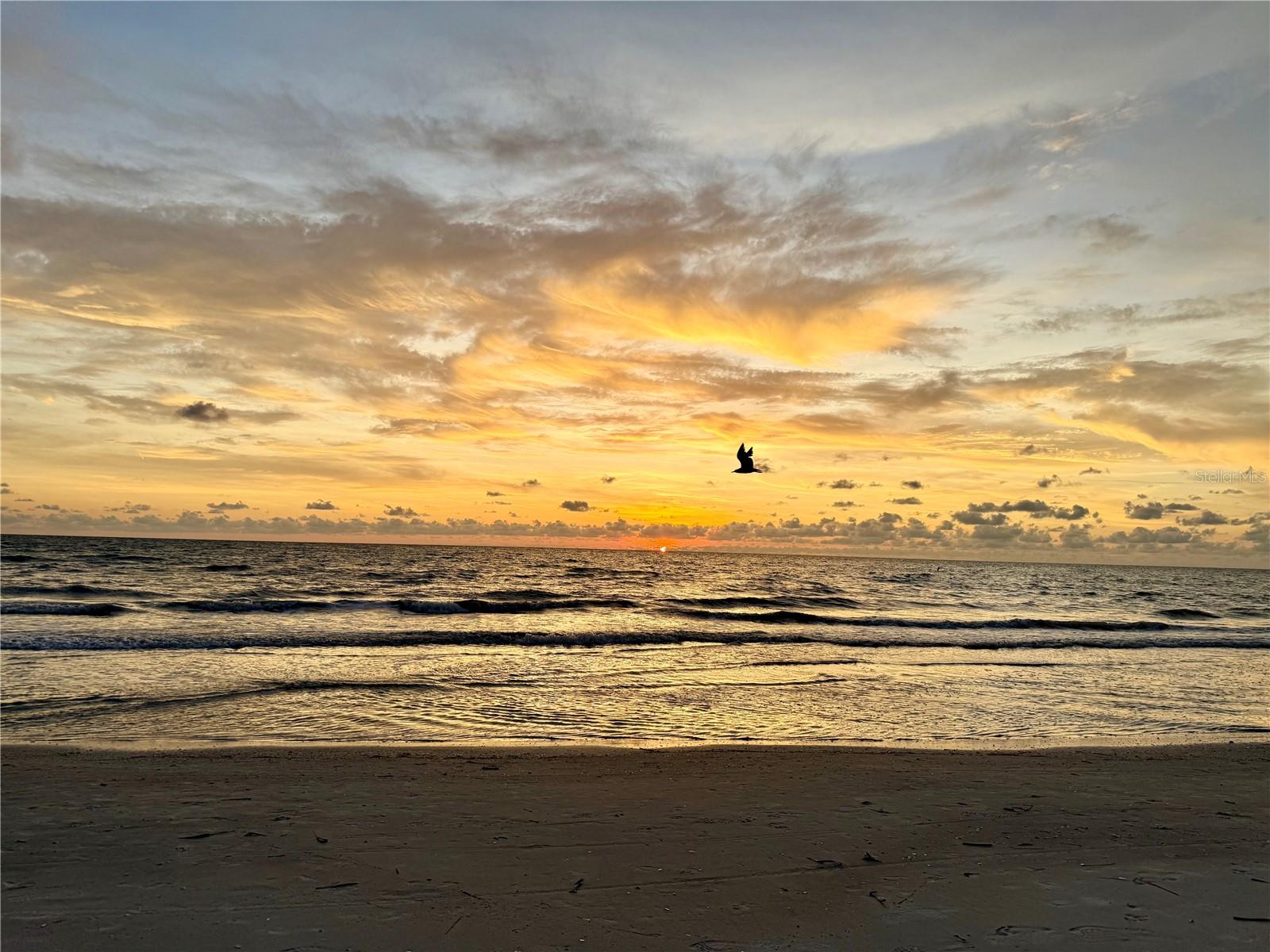 Pristine sandy beach and the Gulf of America