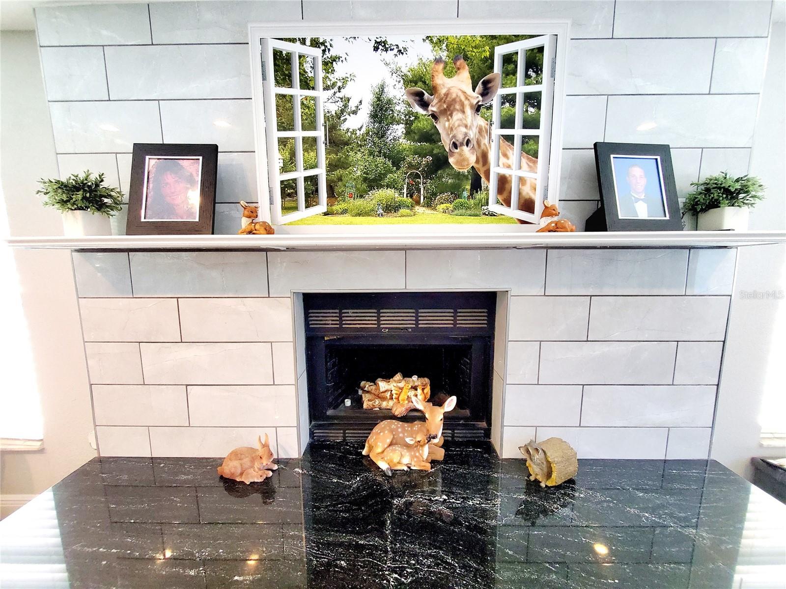 FAMILY ROOM FIREPLACE
