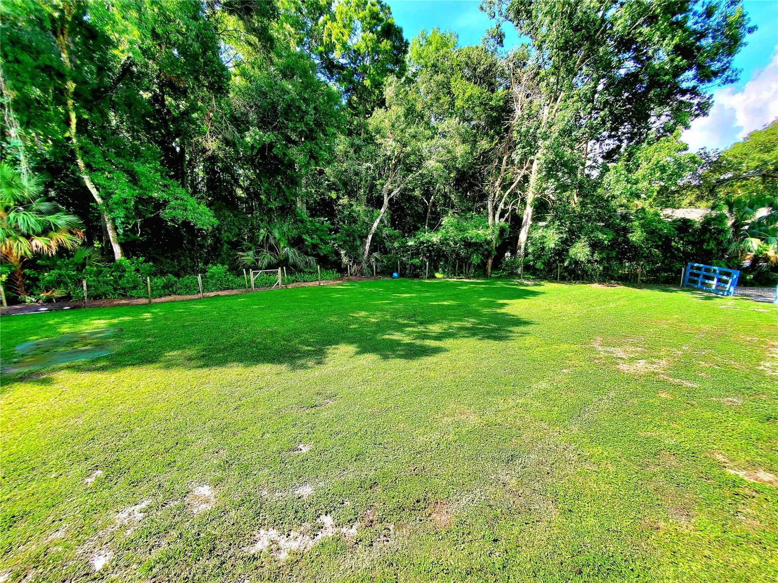 YARD