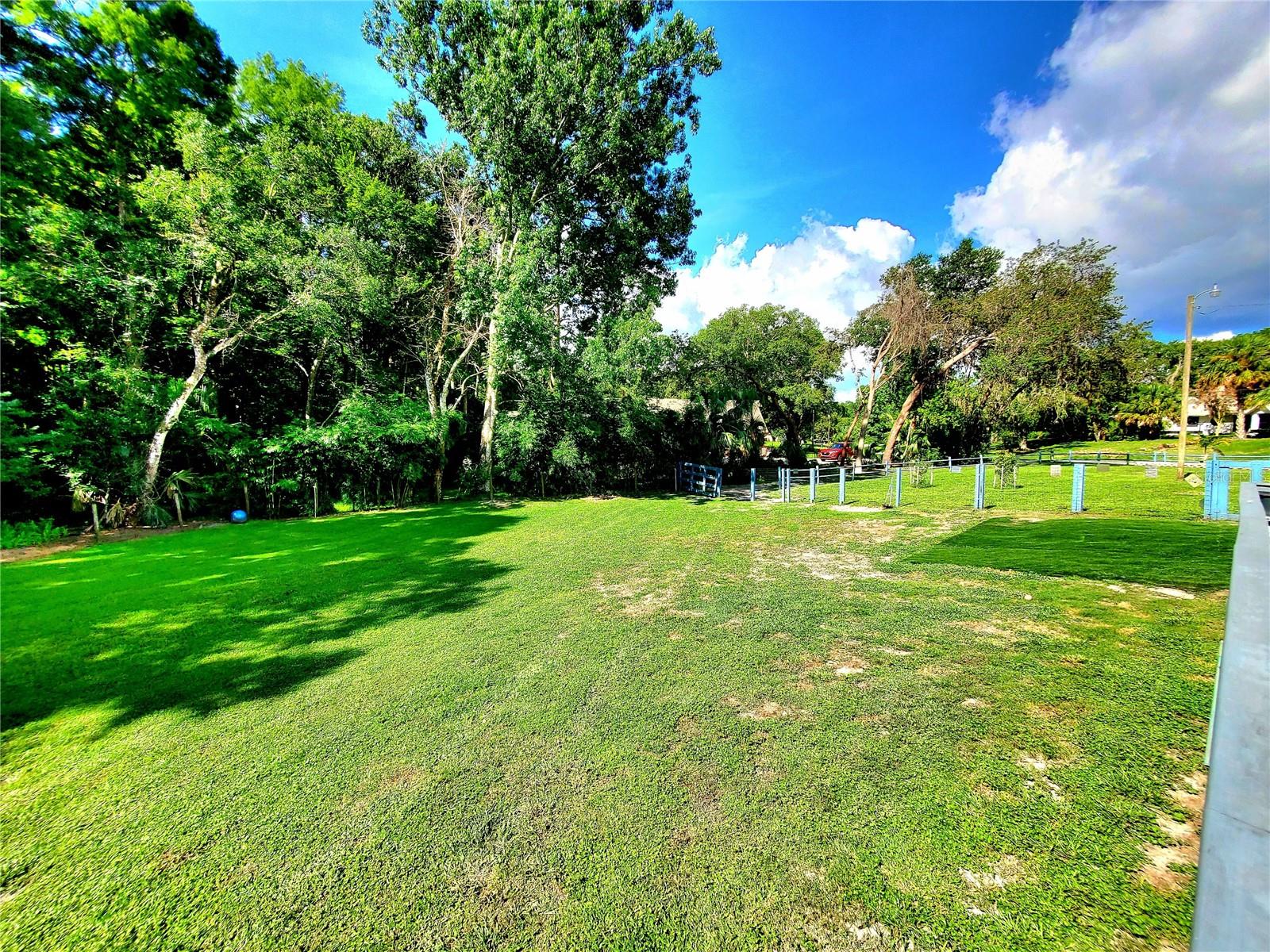 SIDE YARD