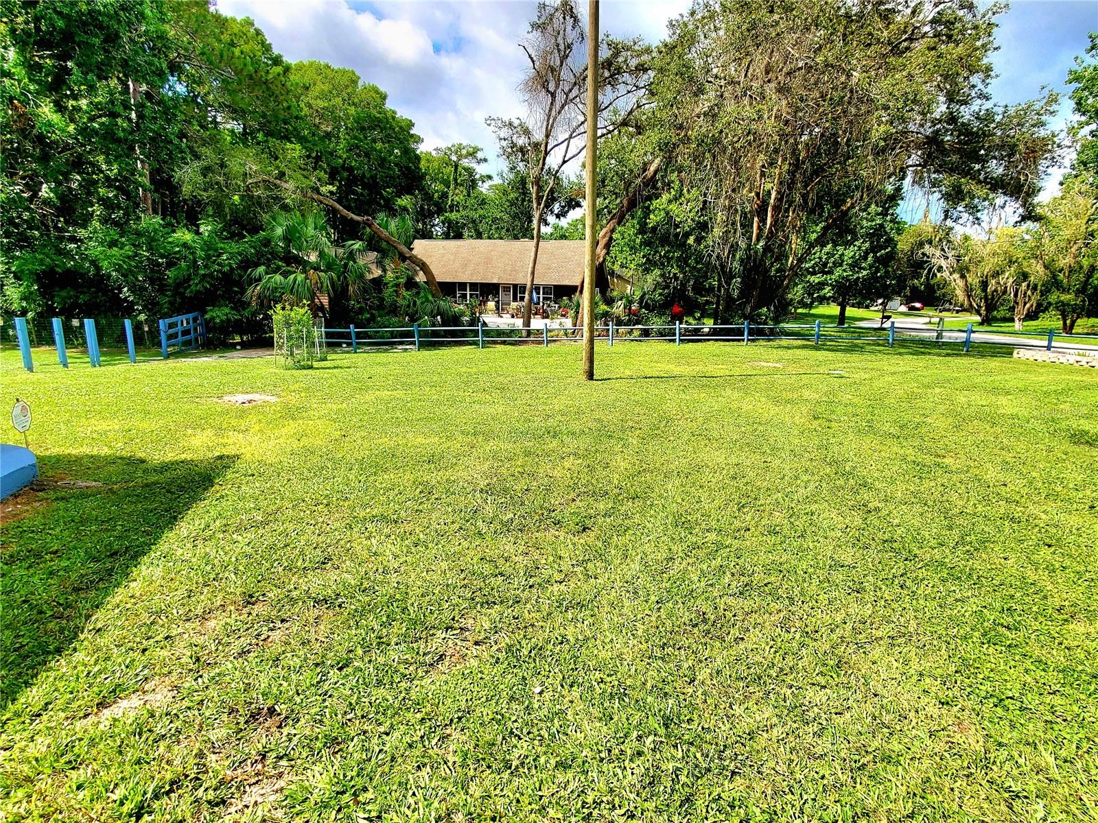 FRONT YARD
