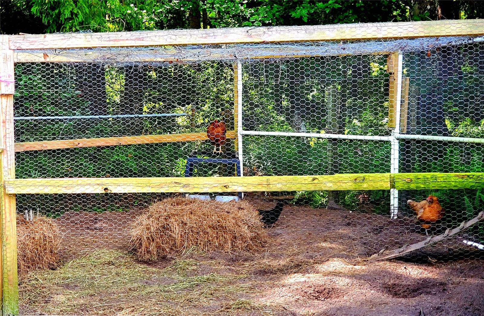CHICKEN COOP