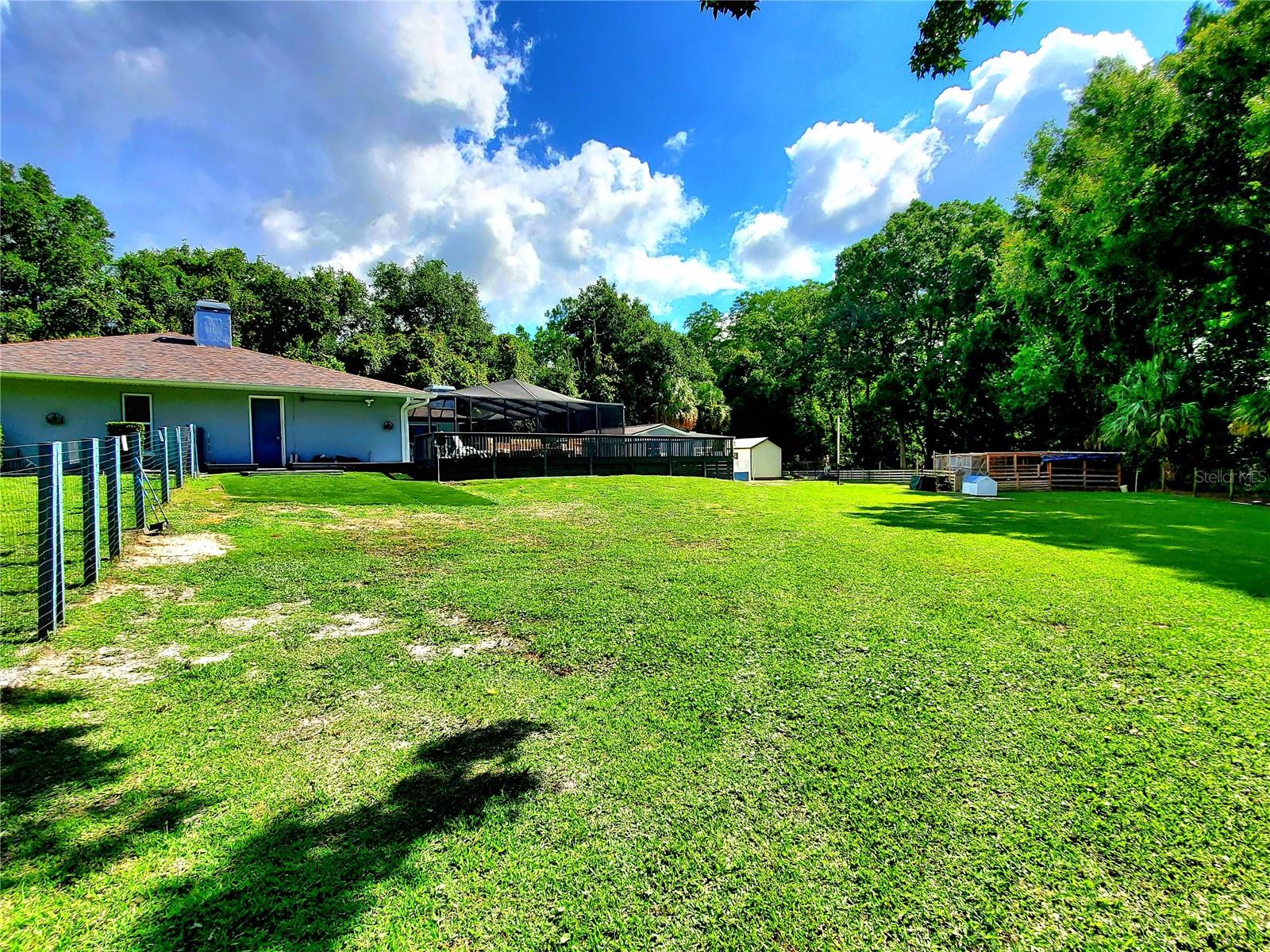 BACK YARD