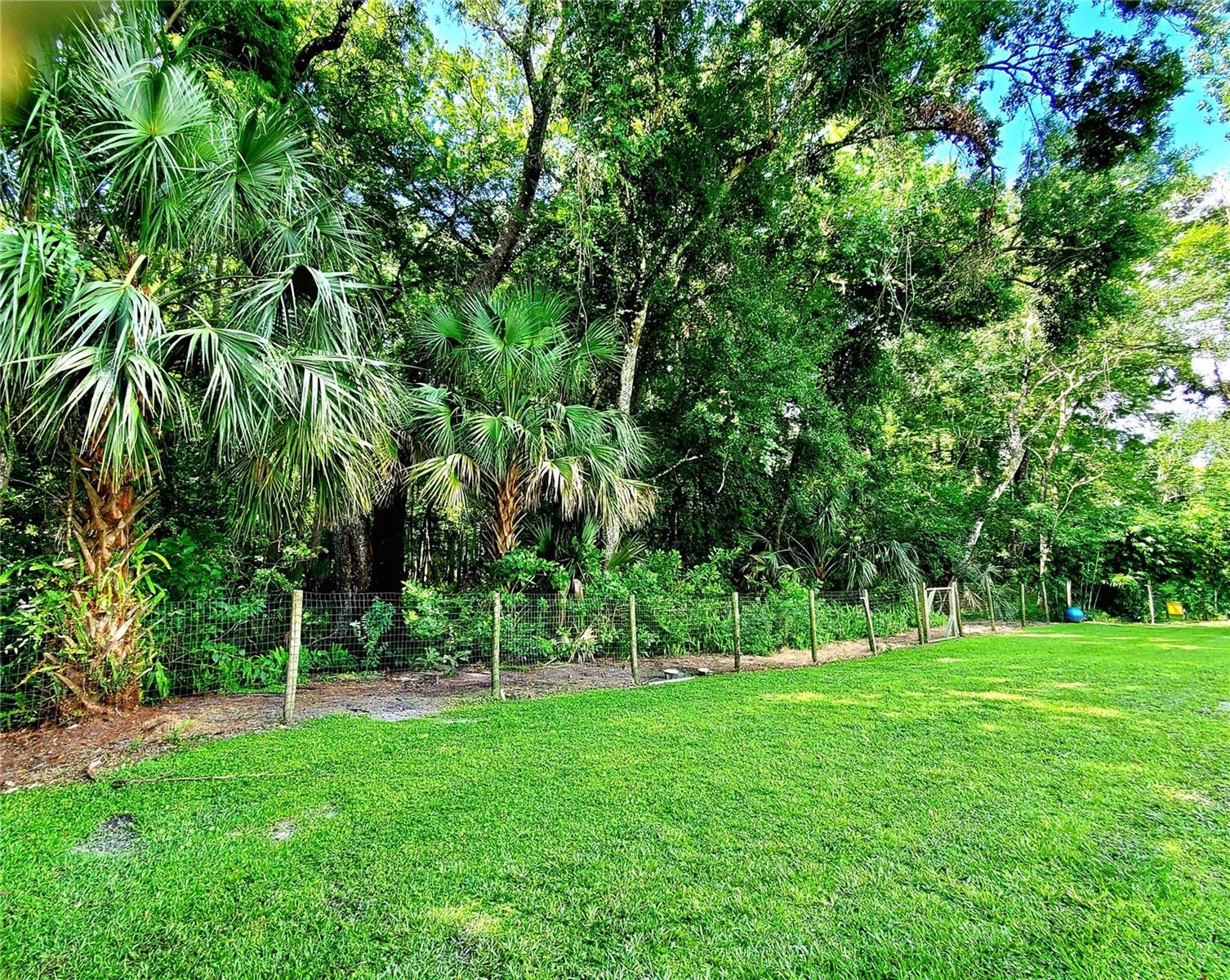 FENCED YARD