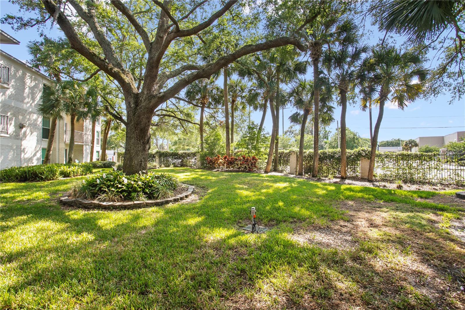 Step into the courtyard for a breath of fresh air and a peaceful outdoor escape.