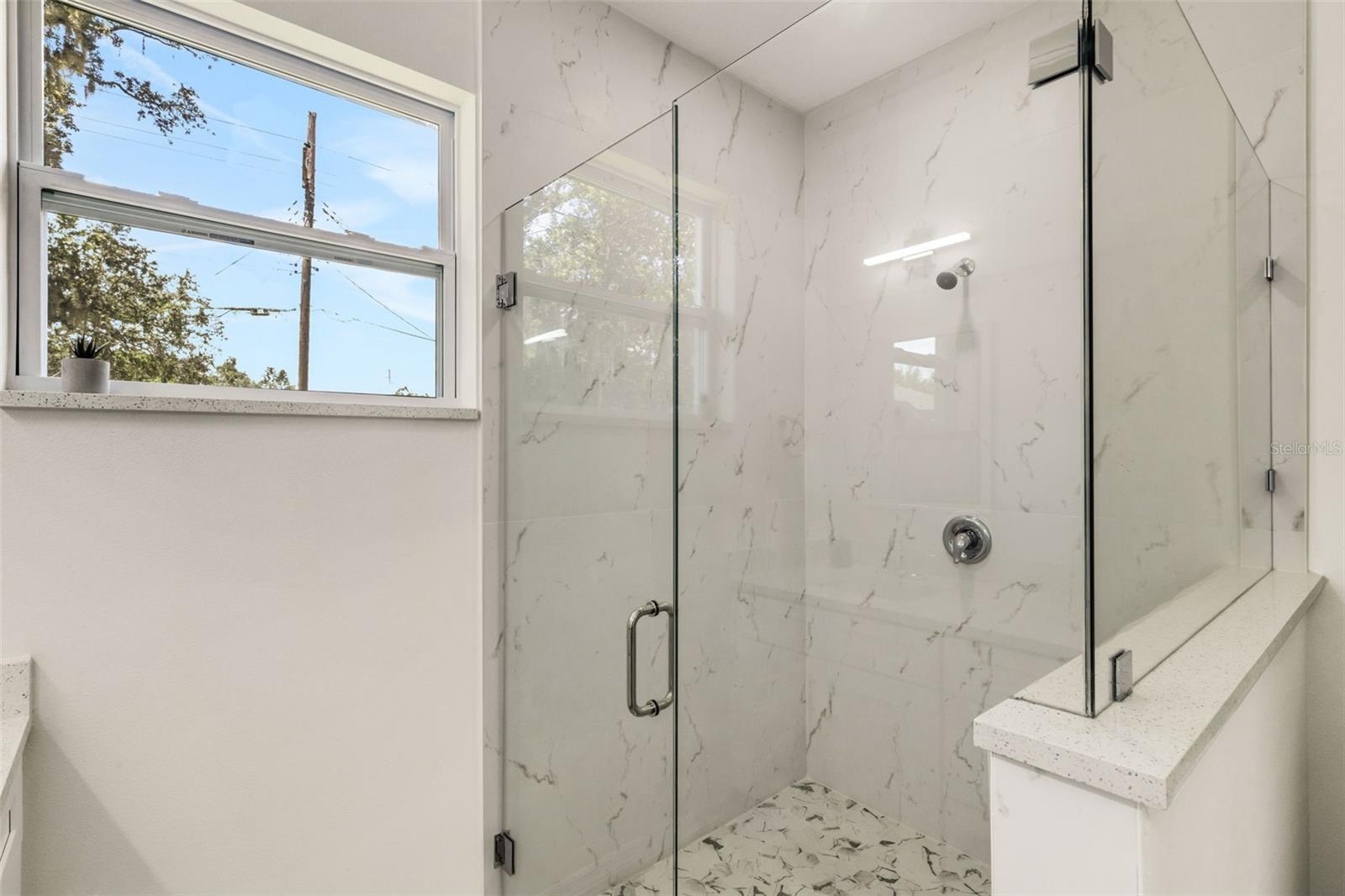 frameless glass door