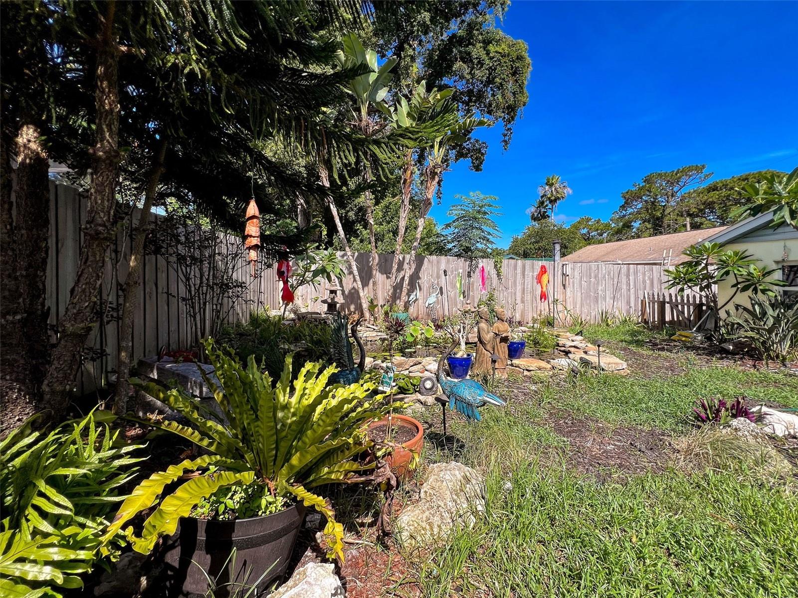 fenced back yard