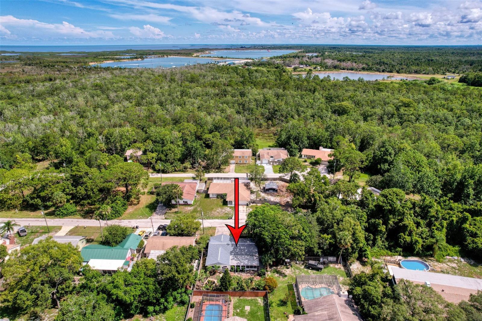 aerial view