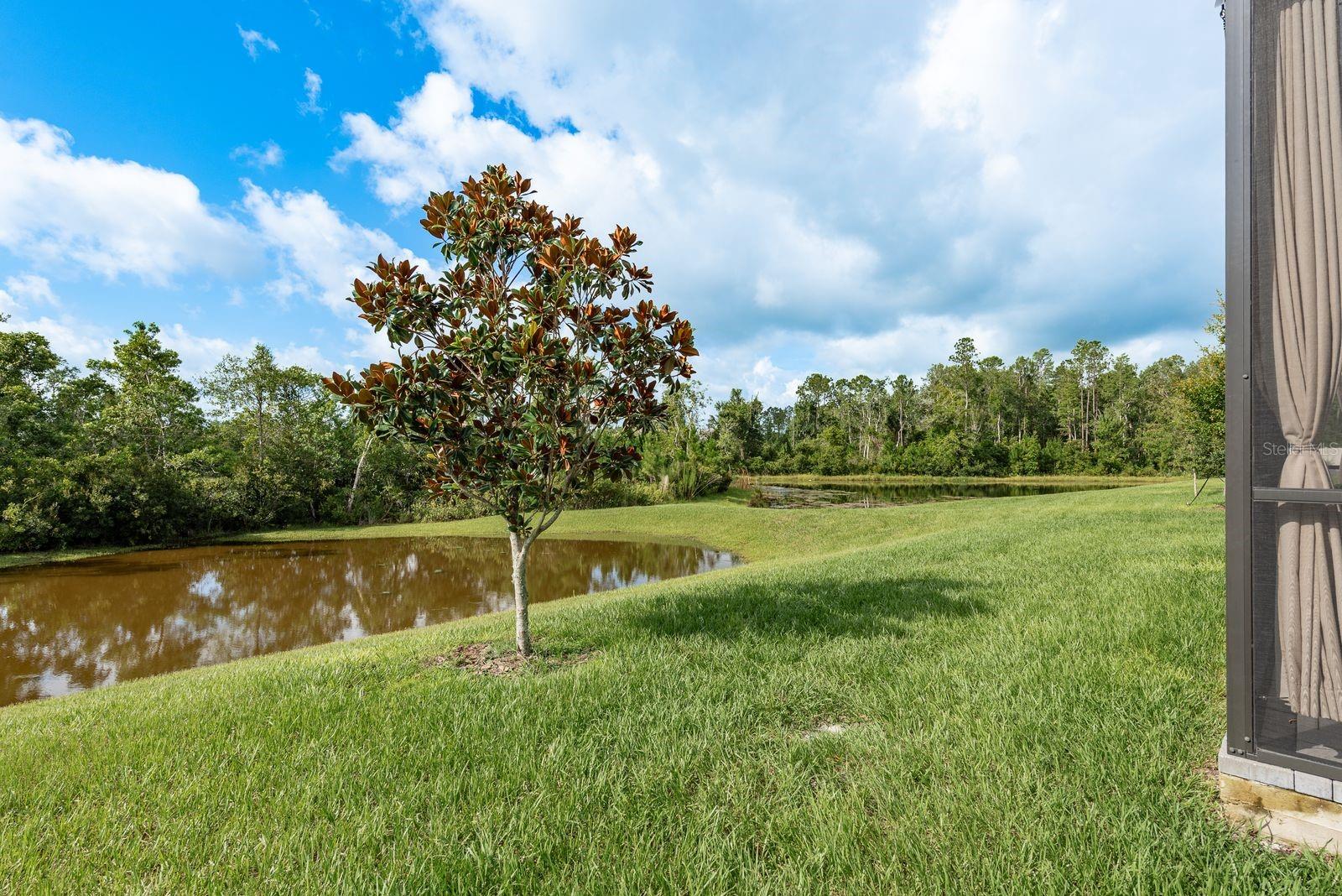 Preserve and pond views