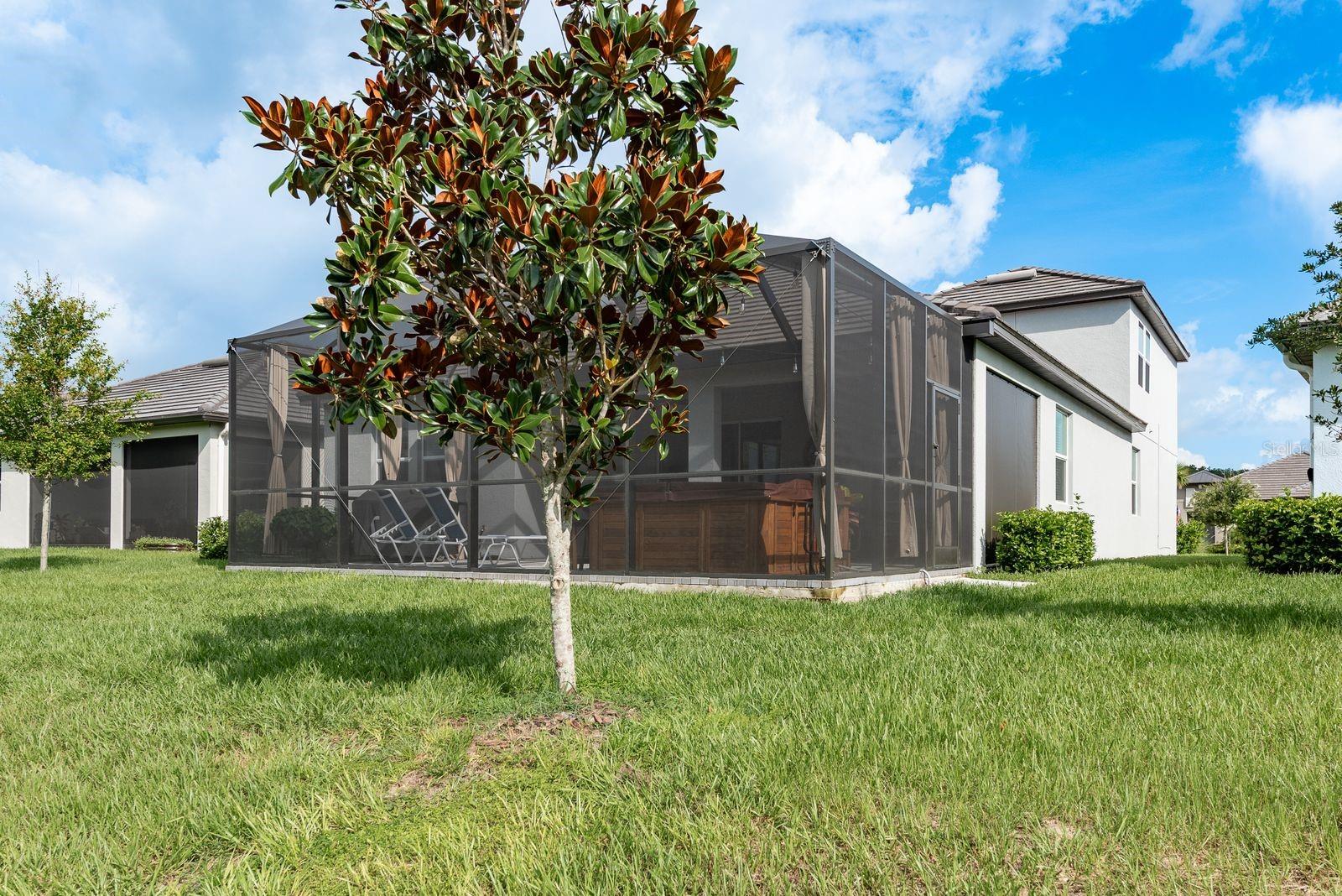 Backyard area