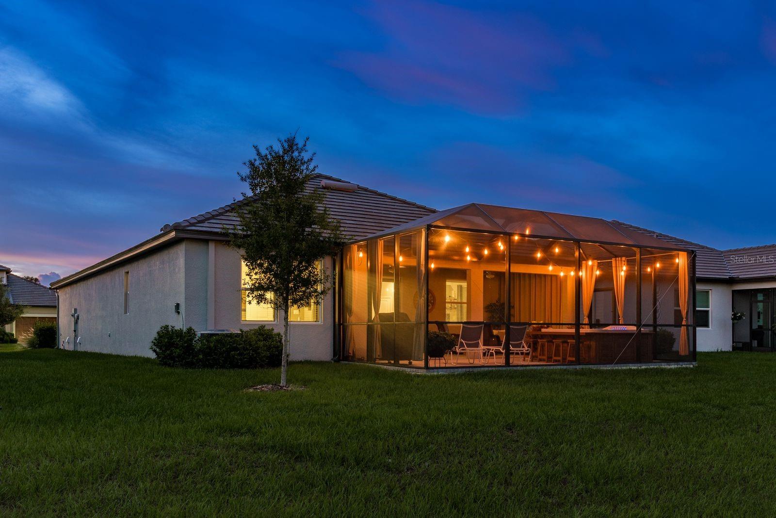 Twilight in the backyard