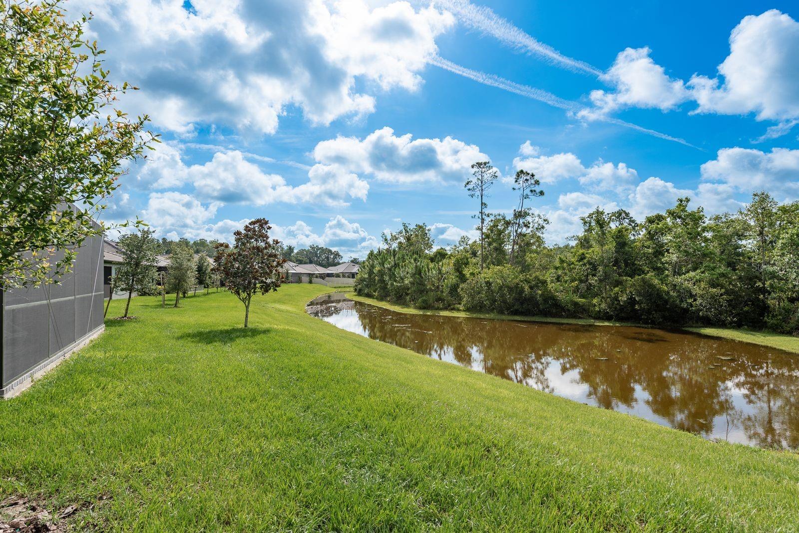 Pond views