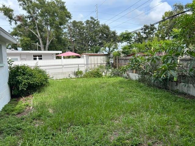 Back Yard