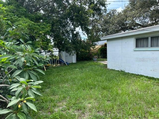 Back Yard
