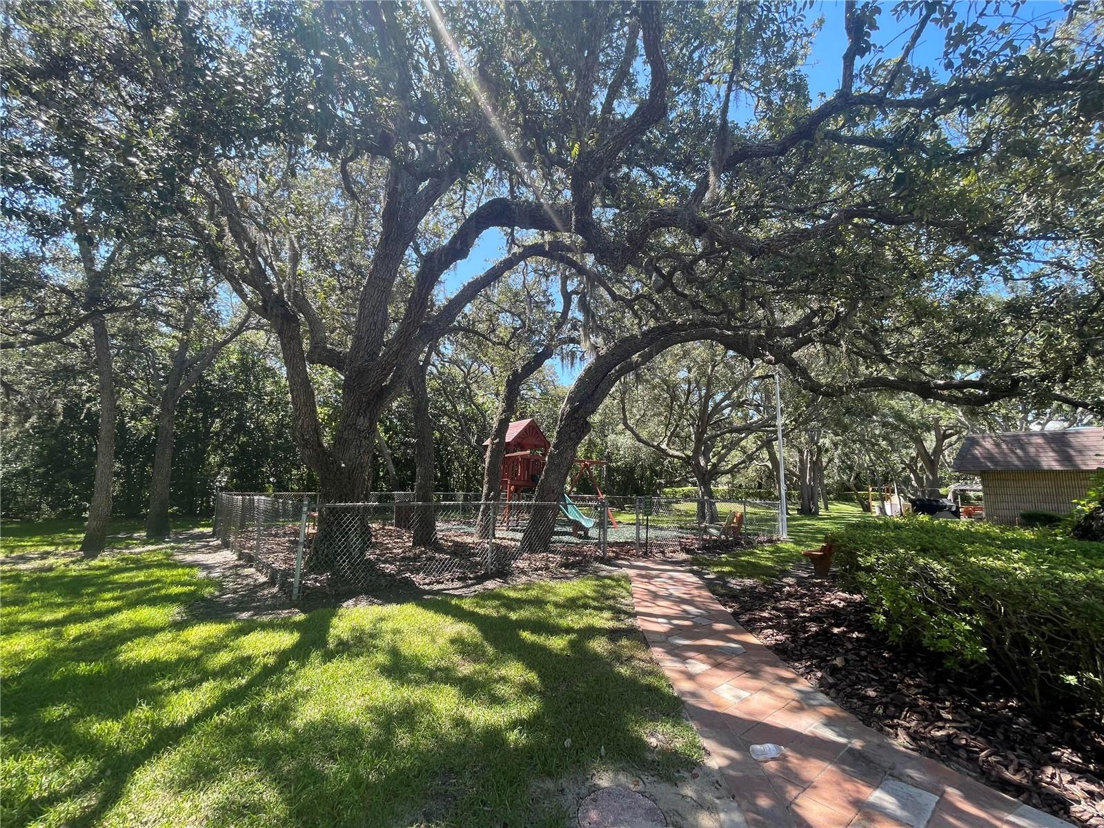 Community Playground