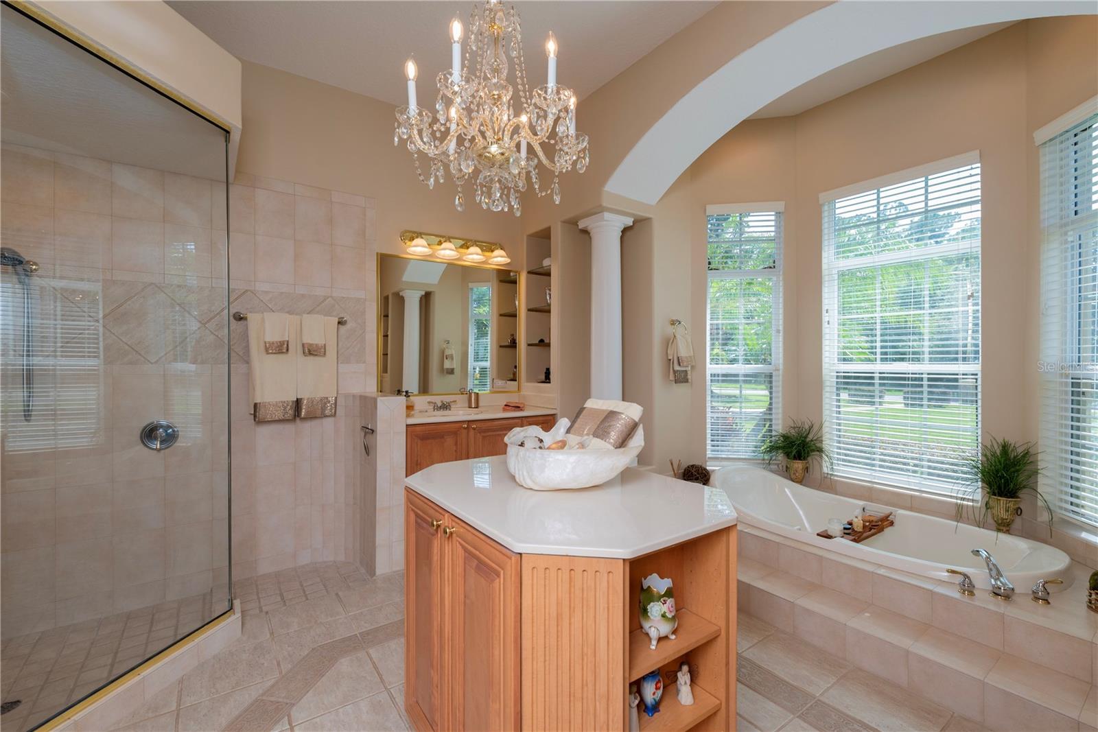 Primary bathroom with enter cabinetry.