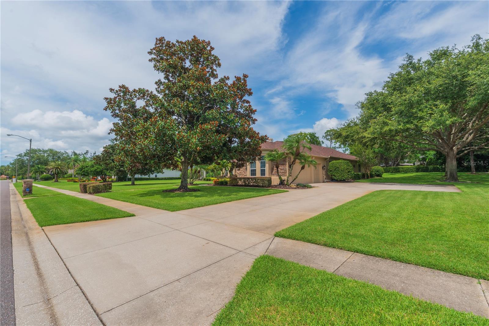 Driveway.
