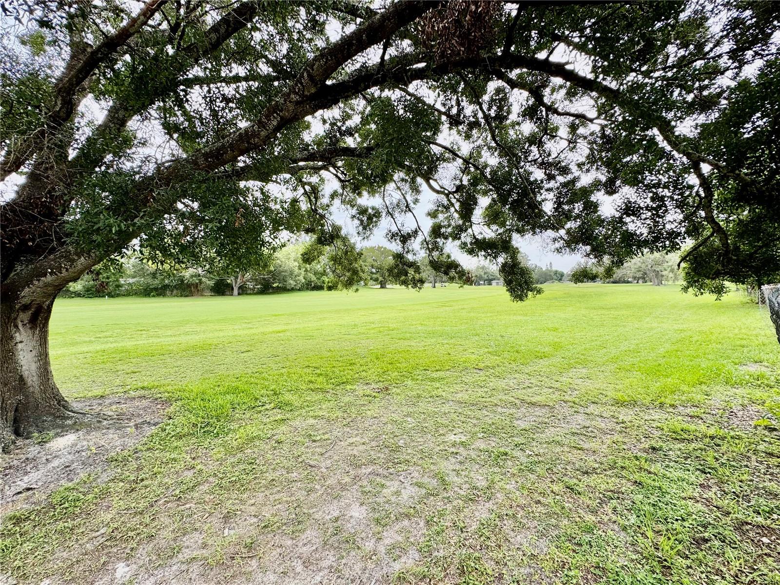 gold course fairway