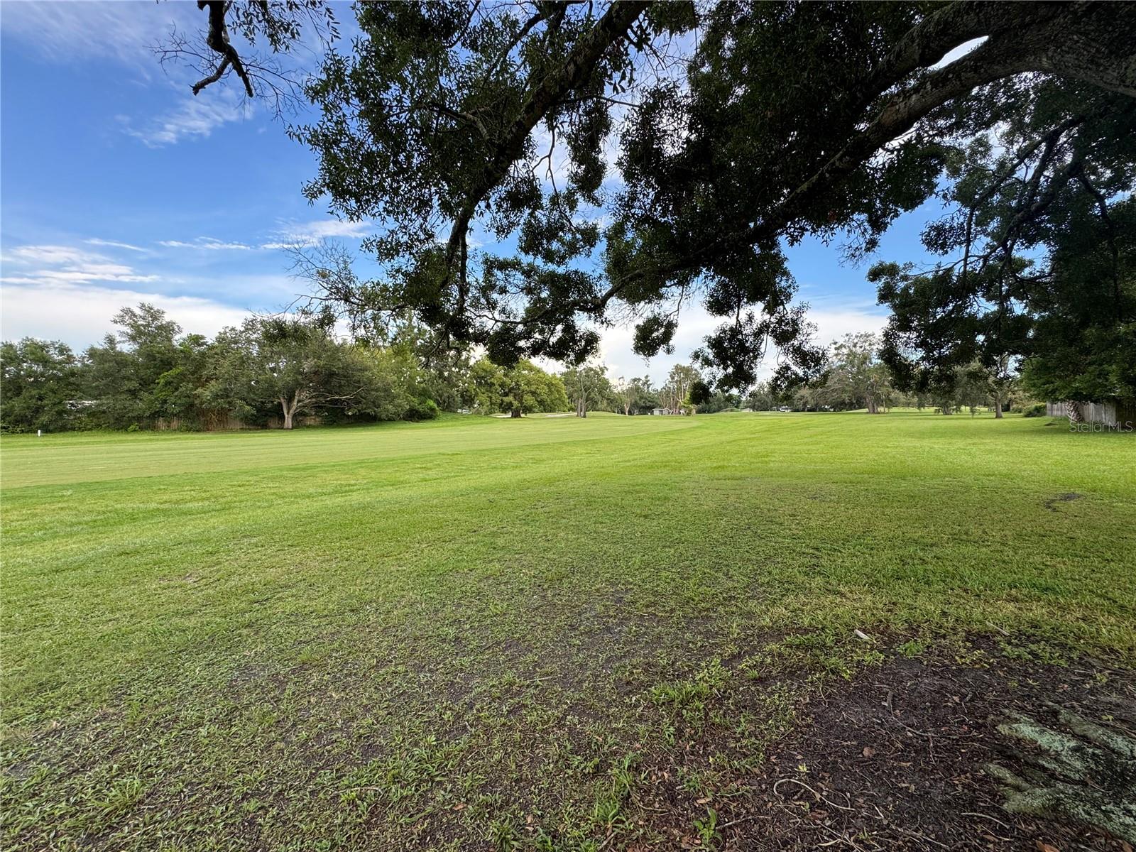 gold course fairway