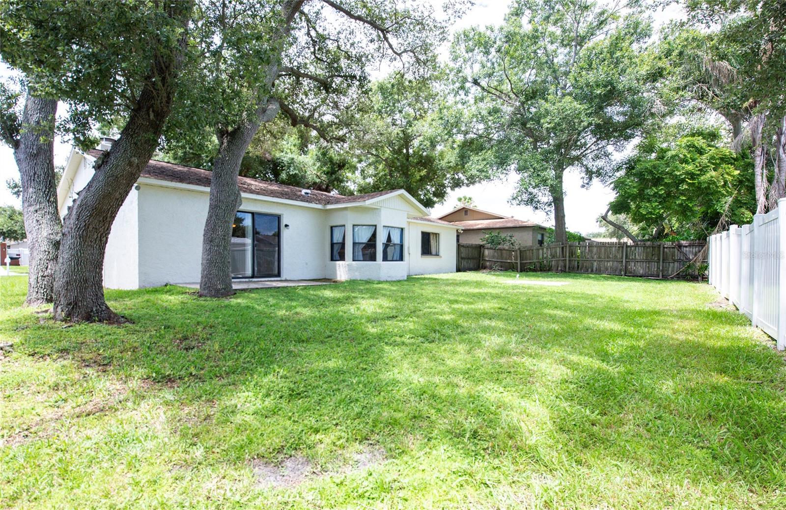 View of Backyard