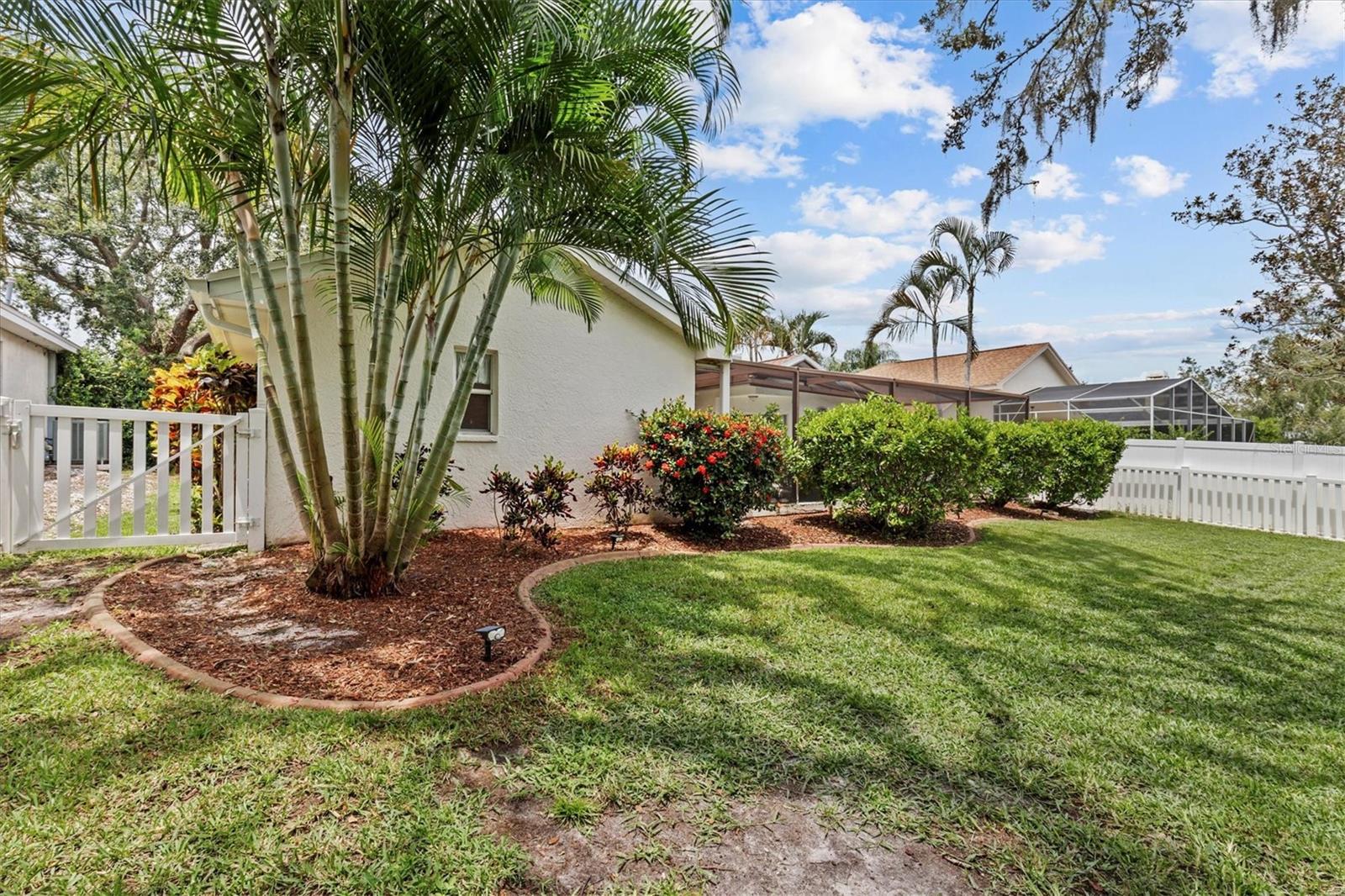 Fully fenced backyard area